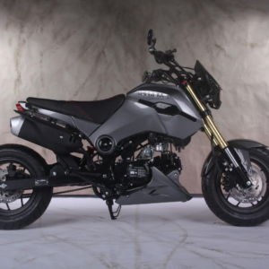 Icebear Pmz Cc Fuerza Motorcycle Grom Clone Birdy S