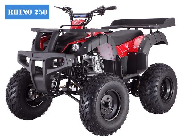 250cc Rhino ATV Manual - Birdy's Scooter & ATVs