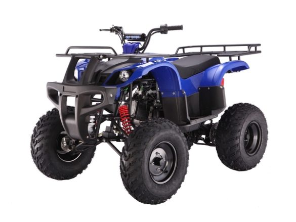 Taotao 150cc Atv Parts