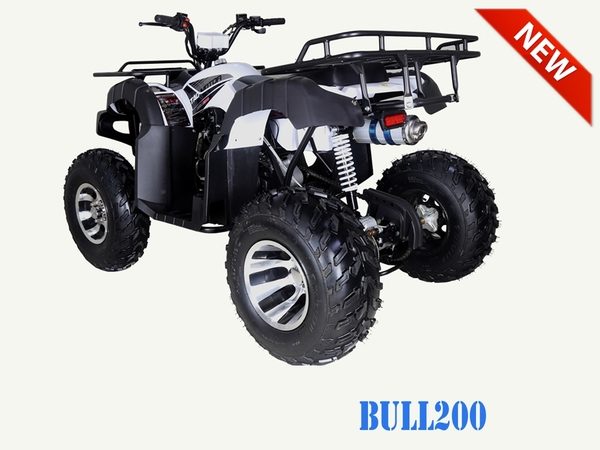 TAOTAO BULL 200 ATV – FULL AUTO W/ REVERSE – Birdy's Scooters & ATV's