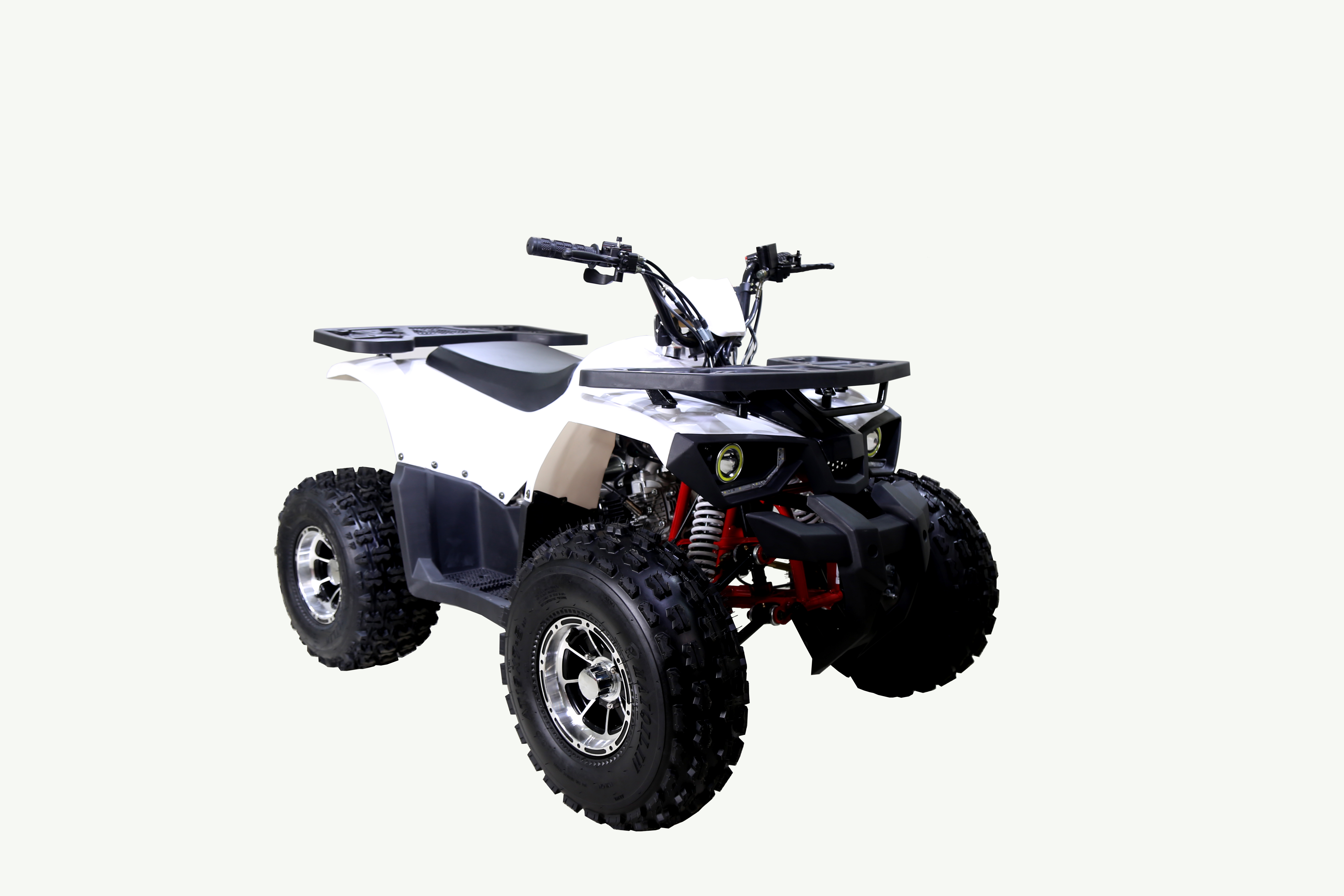 TAOTAO 125CC RAPTOR YOUTH ATV - Birdy's Scooters & ATV's