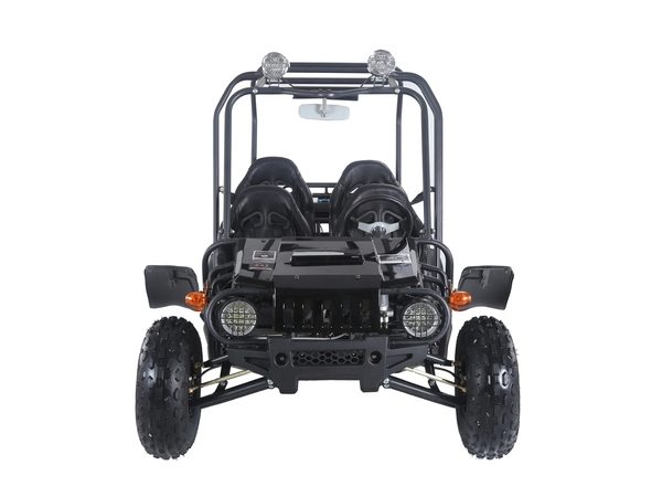 tao tao 4fun 200 go kart 4 seater