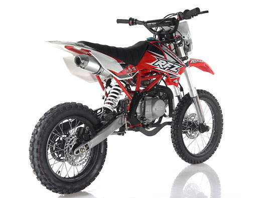 Apollo DB X19 Dirt Bike 125cc gas dirtbike with Headlights Pitbike for  youth adults and kids - Choose your color 